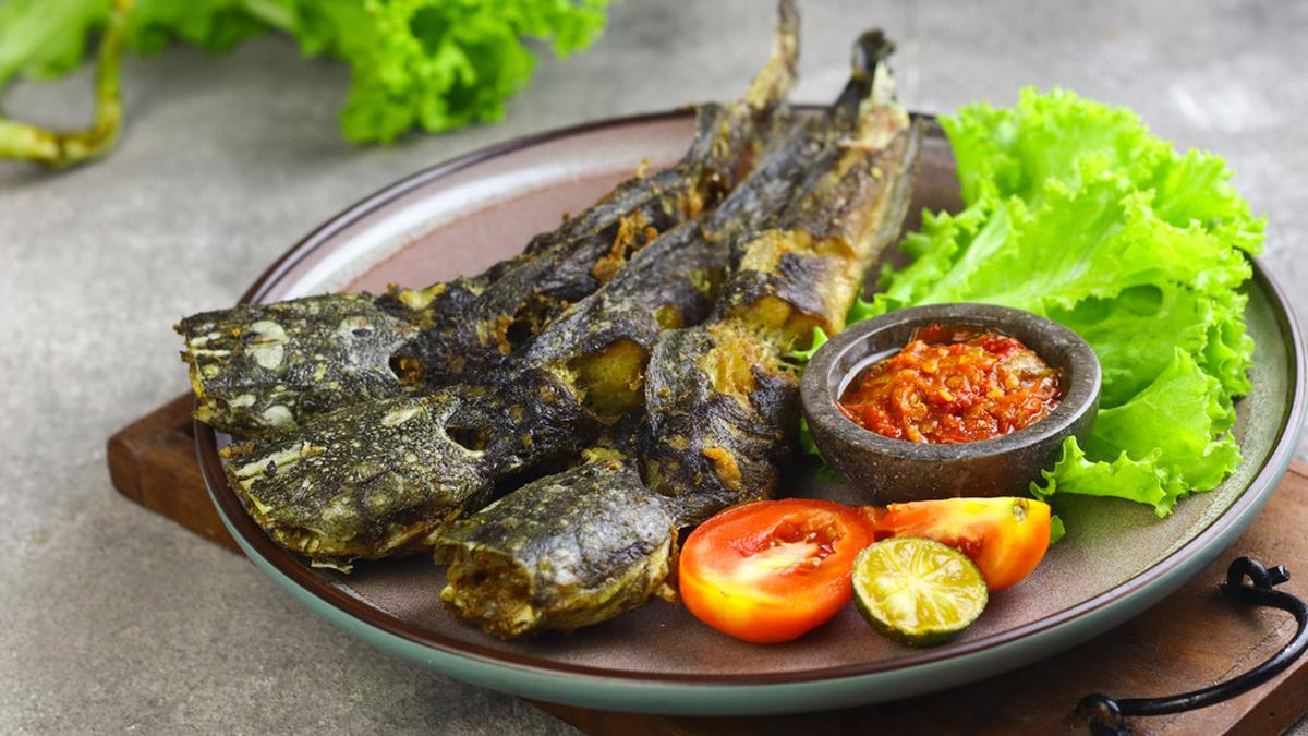 5 Khasiat Ikan Lele untuk Anak yang Belum Banyak Diketahui - Biotifor