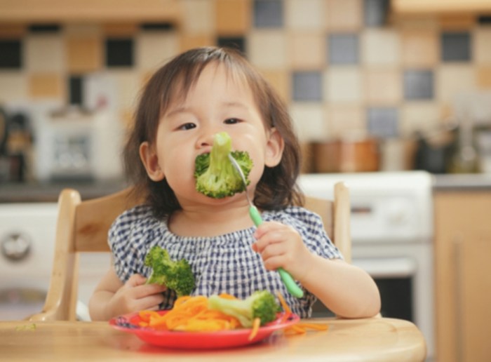 8 TIPS Agar Anak Cepat Gemuk Dalam Satu Minggu - lampung17.com