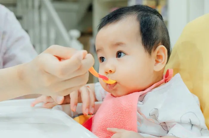 4 Cara Membuat Makanan Bayi 6 Bulan Sehat dan Bergizi