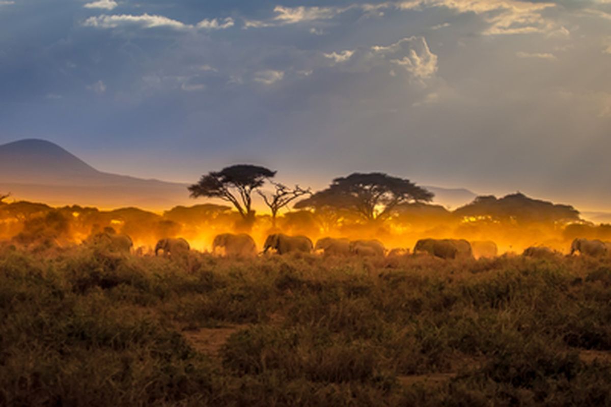 Apakah peran manusia dalam menjaga keseimbangan ekosistem