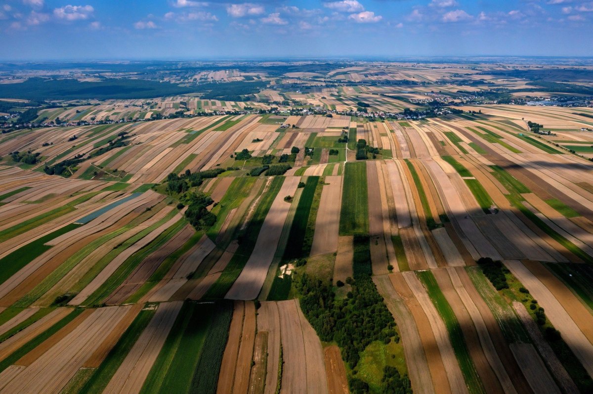 Pola lantai yang digunakan pada tari saman yaitu