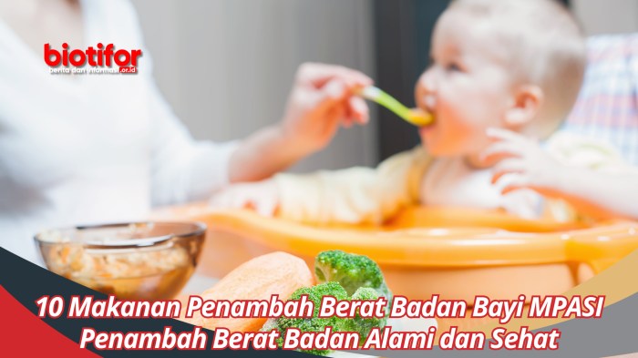 Mpasi penambah berat badan bayi