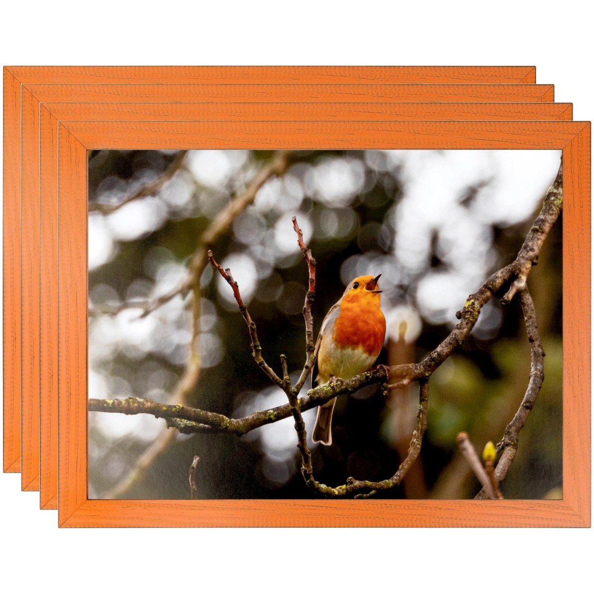 Indra Design: CONTOH VECTOR DAN POSTER SEDERHANA