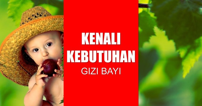 Kebutuhan gizi bayi 6 12 bulan