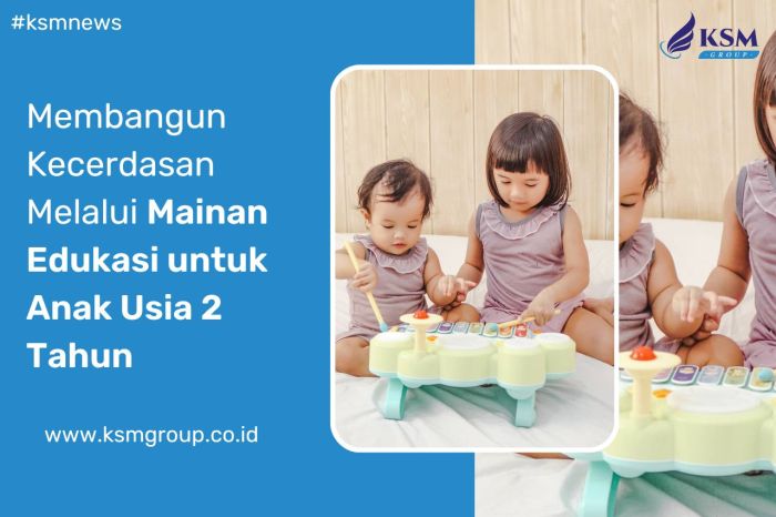 Mainan Edukasi untuk Anak 2 Tahun | KSM Group Distributor, Importir ...