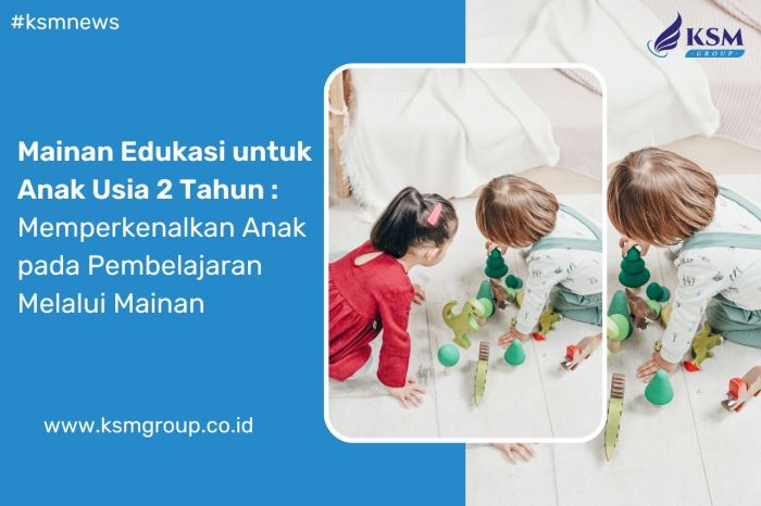 Mainan Edukasi untuk Anak Usia 2 Tahun