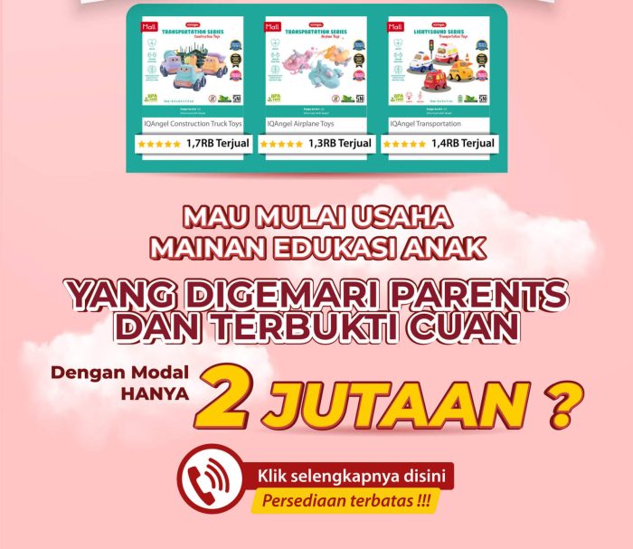 Paket usaha mainan anak