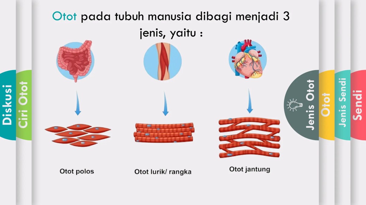 Materi bimbel anak tk