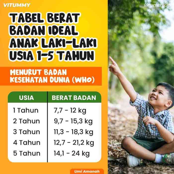 Cara menaikan berat badan anak 1 tahun