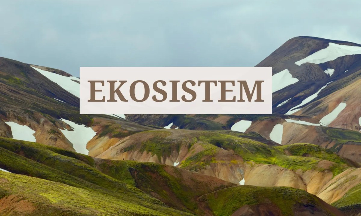 Ekosistem Adalah: Pengertian, Ciri, Fungsi, Jenis, Komponen, dan ...