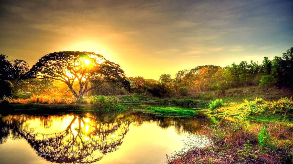 √ Wallpaper Pemandangan Sungai yang Damai - wallpaper202