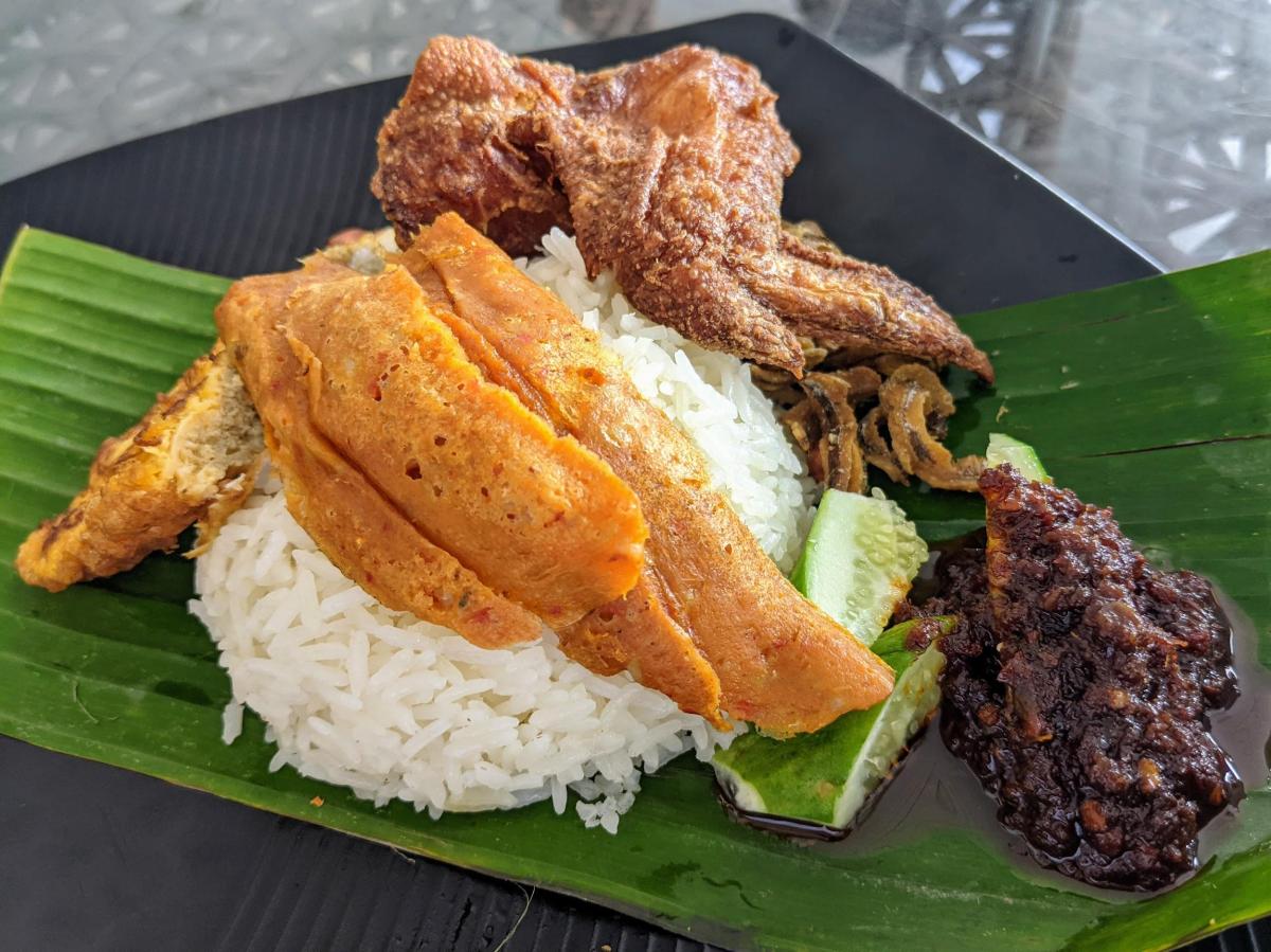 Makanan anak kura kura brazil