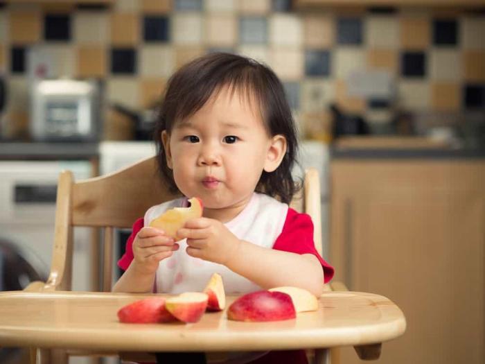 Ketahui Porsi Makan Bayi 6 Bulan Dalam Sehari - Official Astronauts Blog