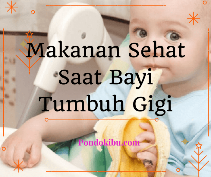 7 Resep Makanan Bayi Tumbuh Gigi Agar Dia Mau Makan Lagi