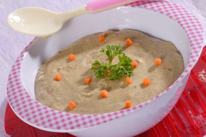 4 Resep Mpasi 9 Bulan yang Berkuah dan Sehat untuk Bayi - InfoKeren.id