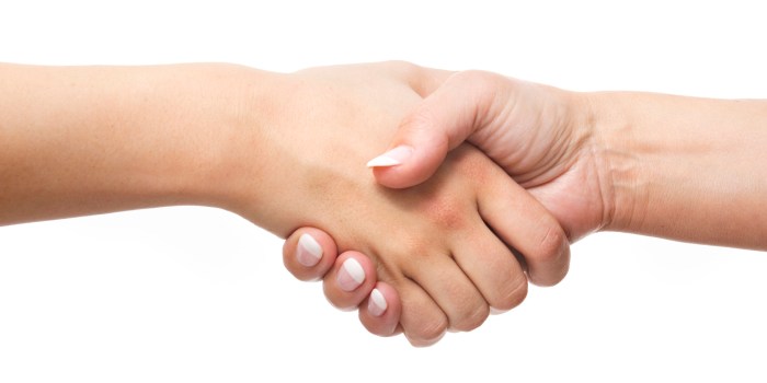 Votre façon de serrer la main en dit long sur votre personnalité ...