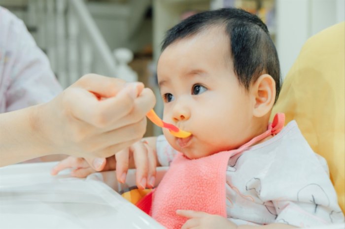 Panduan dan Jadwal Makan Bayi 7 Bulan – Erudisi
