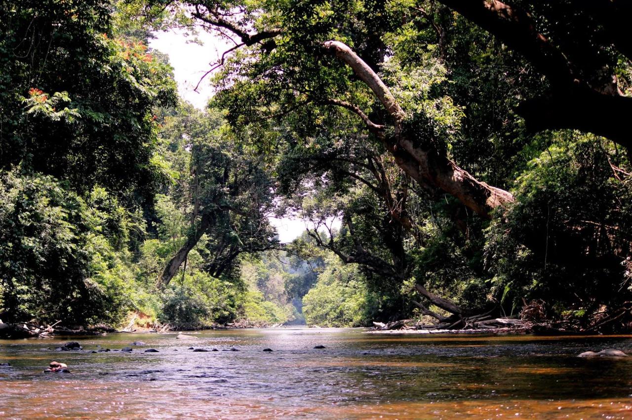 Taman bermain anak di rumah