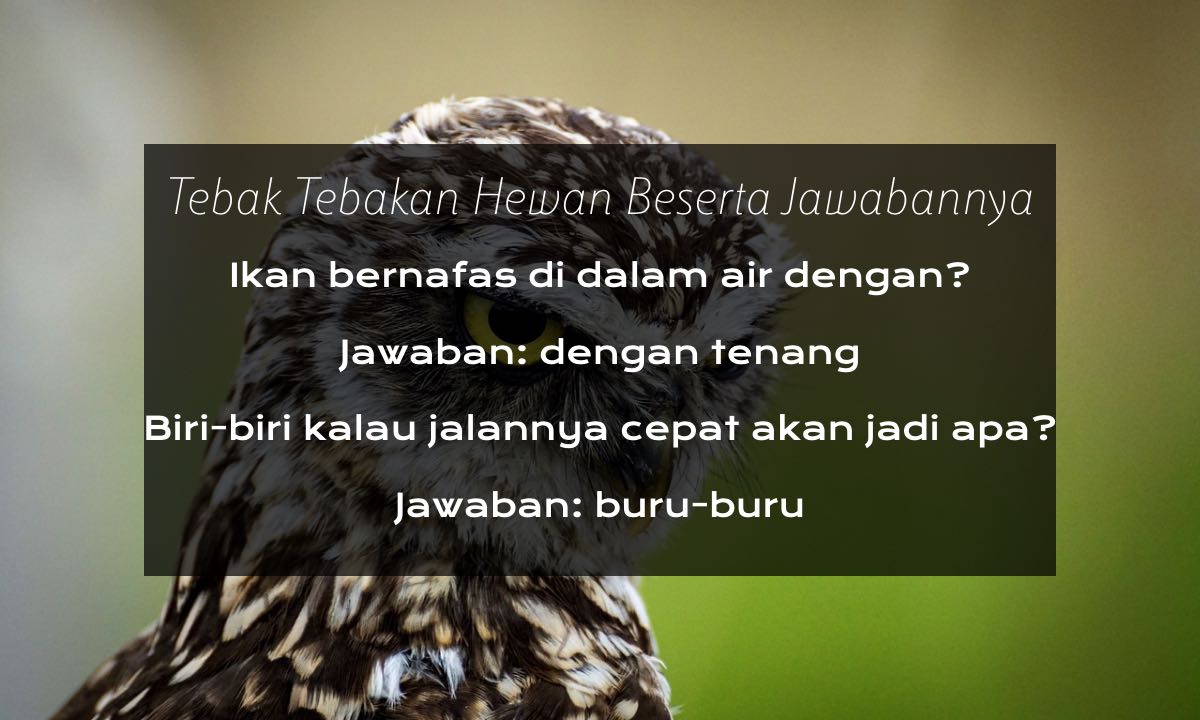 35 Tebak Tebakan Hewan Beserta Jawabannya, Kocak dan Sulit Dijawab!