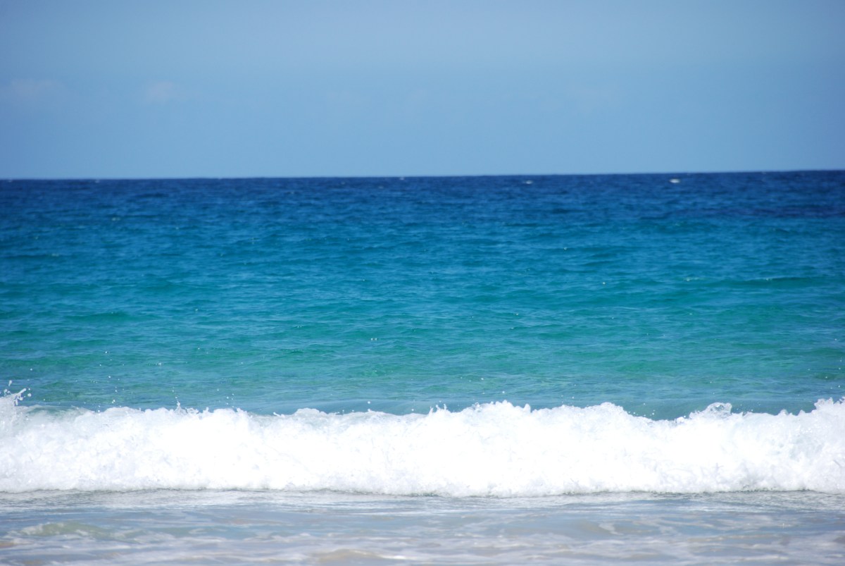 Free photo: The sea - Gazing, Looking, Man - Free Download - Jooinn