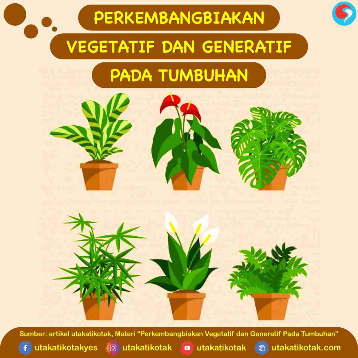 Perkembangbiakan Vegetatif dan Generatif Pada - UtakAtikOtak.com