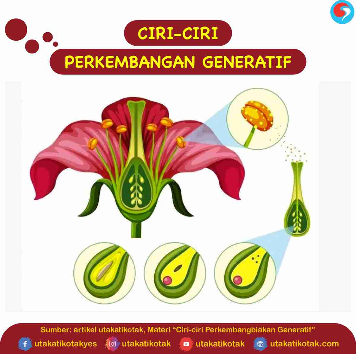 Perkembangan generatif adalah