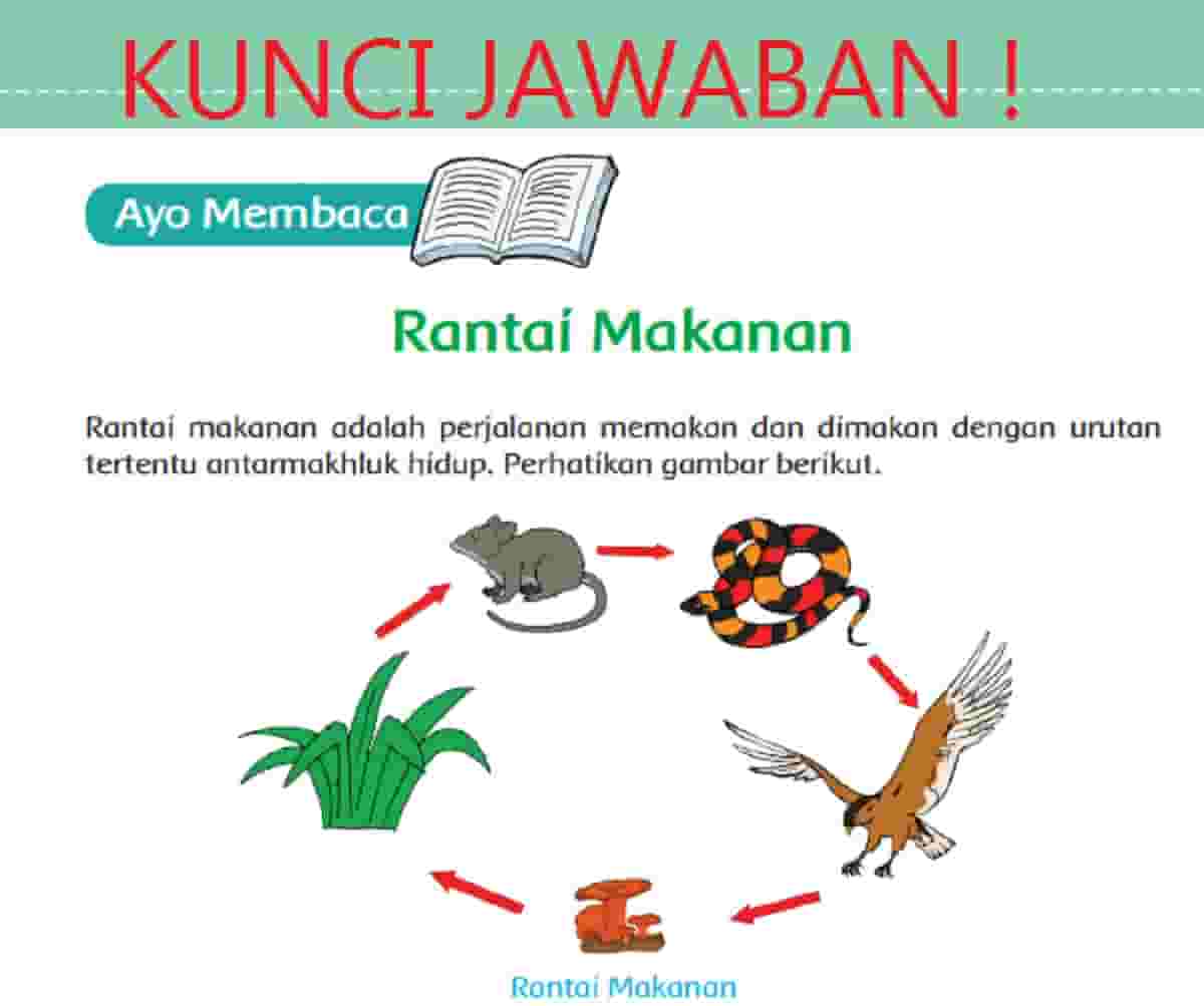 Pada setiap paragraf terdapat pikiran utama dan