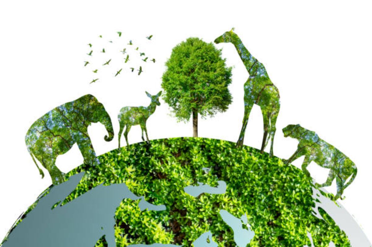 Komponen Biotik Berdasarkan Perannya dan Tingkat Organisasinya - Varia ...