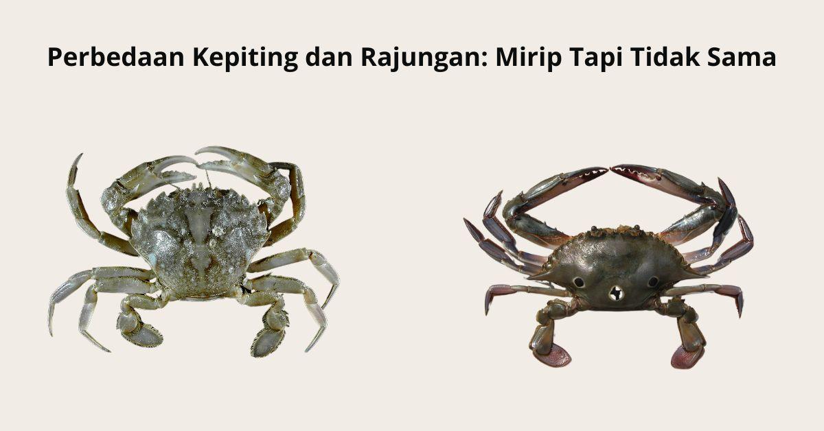 Cara Membuat dan Contoh Rapor Kurikulum Merdeka