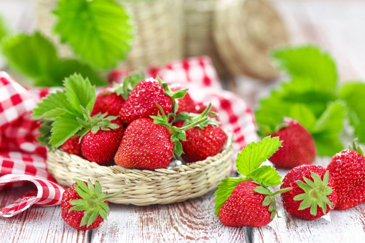 The Comprehensive Guide to Growing and Caring for Strawberry Plants ...