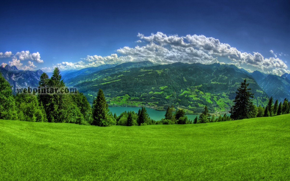 Contoh sumber daya alam yang dapat diperbaharui adalah