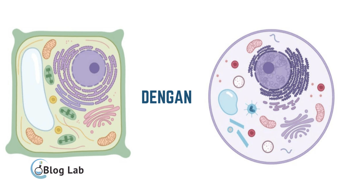 Perbedaan Kepiting dan Rajungan: Mirip Tapi Tidak Sama - CaraMembuat.id