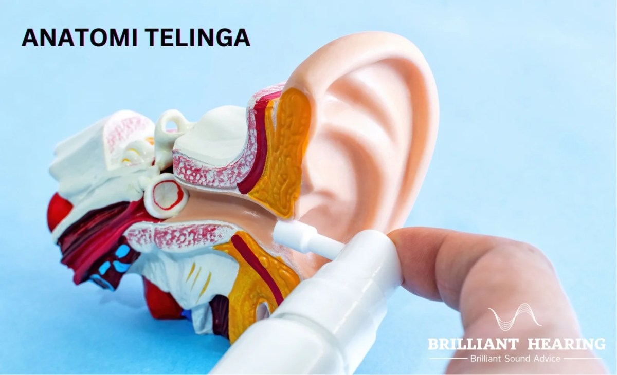 Telinga manusia dapat mendengar bunyi dengan frekuensi antara