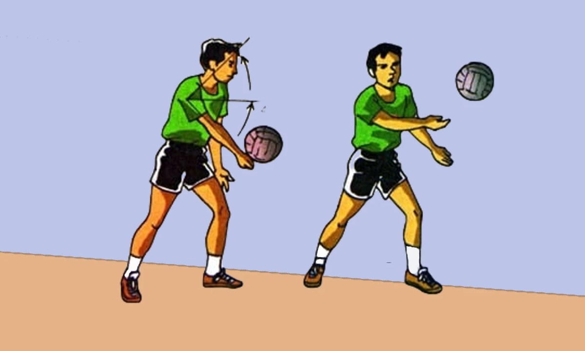 Servis Adalah Dalam Bola Voli - Homecare24