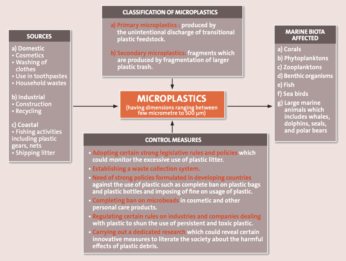 Mikroplastik, Nyata atau Fana? – Yayasan TAKA